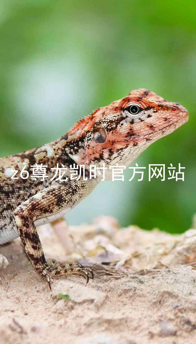 z6尊龙凯时官方网站
