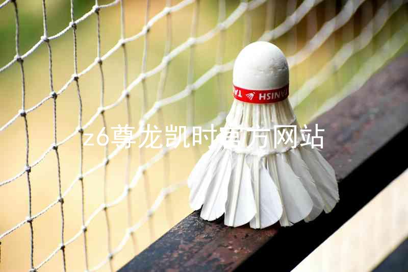 z6尊龙凯时官方网站