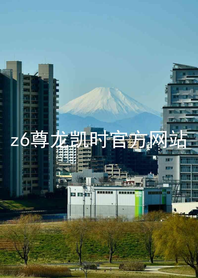 z6尊龙凯时官方网站